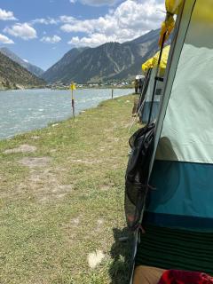 Brown bear camping gurez - 1