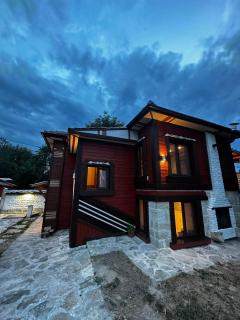 Ethno Villa Cherry - Cherven - 8