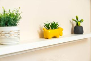 Down To Earth 1 Bedroom Apartment Jewellery Quarter Birmingham - Free Parking - Birmingham - 4