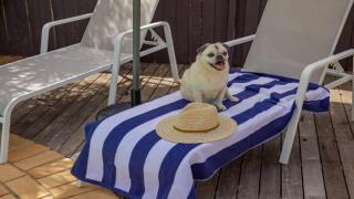 Fairways Beach House Sawtell - Sawtell - 6