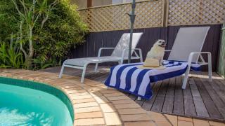 Fairways Beach House Sawtell - Sawtell - 5