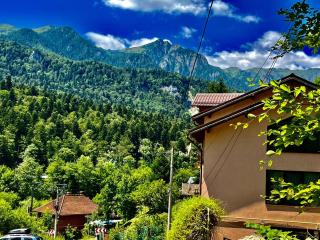 Pensiunea Roua - Mountain View - 0
