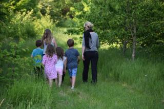 Fallow Fields Camping, Selson Farm - Eastry - 6