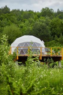 Zenzia Glamping - Piatra Neamţ - 0