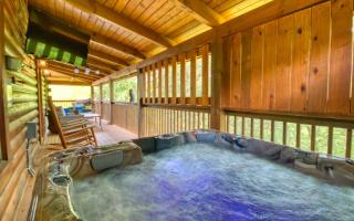 Bear Necessities - Sevierville - 9