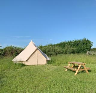 Fallow Fields Camping, Selson Farm - Eastry - 3