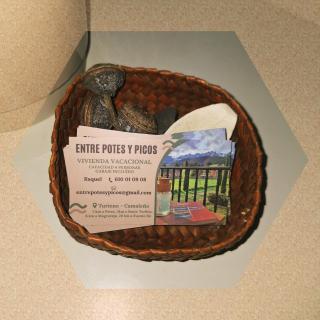 Entre Potes y Picos con WIFI y garaje - 8