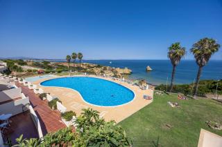 O Golfinho - Lagos - 9