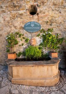 Casa Pazzi Dimora d'Epoca - Grottammare - 6