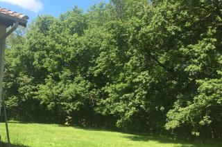 Ferme Les Serieges - Villenouvelle - 6