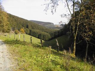 Sonneneck - Winterberg - 3
