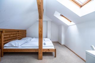 Beautiful loft apartment in Prague 3 - Praga - 3