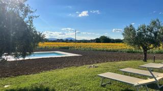 Assisium Agriturismo - 2