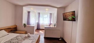 Stephanie Apartment-Centru civic - Brasov - 9