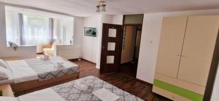 Stephanie Apartment-Centru civic - Brasov - 2