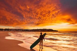 In the heart of Bondi, stroll to the beach - Sydney - 2