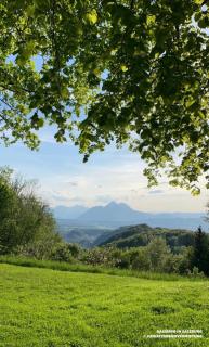 Privatzimmervermietung - Salzburg - 9