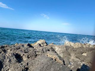 Beach house - Torre Canne - 0