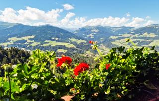 Apartment Blick Hohen Salve - Hopfgarten im Brixental - 9