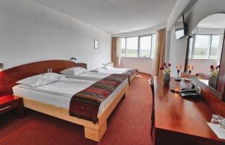 Hotel Krek Superior - Lesce - 8