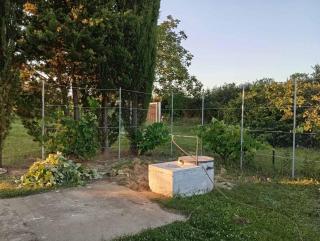 Kuća za odmor Fruška gora - Prnjavor - 2