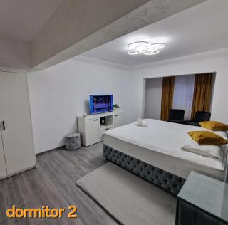 Apartament AlyMit Băile Herculane - Băile Herculane - 6