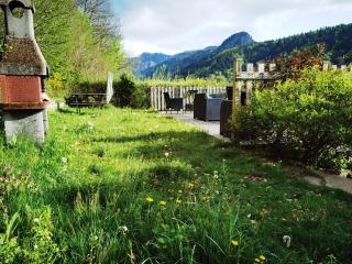 Les Camélias - Le Mont-Dore - 9