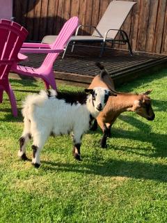 Studio La vie est belle - 2