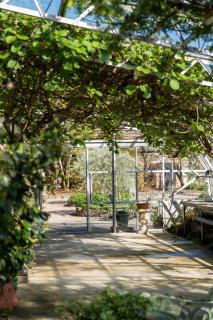 5 Star Romantic Rose Cottage with Roll-Top Bath - 5