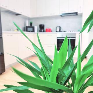 Steps2 Old Town & Metro - The Adventure - 5