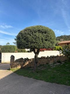 Loue belle maison récente de 100 m2 à Ste Lucie de Porto Vecchio - 2