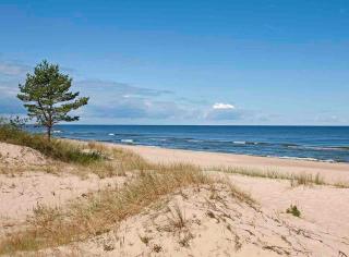 Studio Apartment Gdańsk Olivia Business Centre - Gdańsk - 7