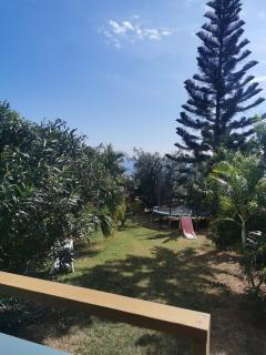 L'Araucaria - Saint-Paul - 2