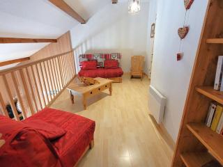 Duplex 8/9 pers avec terrasse Sud, proche pistes, Wi-Fi, animaux OK, parking + options - FR-1-393-92 - Saint-Michel-de-Chaillol - 1