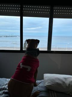 Torres céntrico frente al mar - 2