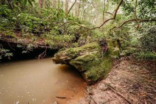 Black Creek Glamping near Brimstone - Huntsville - 2