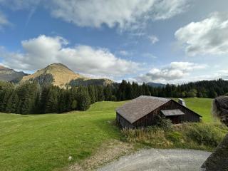 Studio au cœur du Praz-de-Lys - Les Pralyssimes - Le Praz de Lys - 2