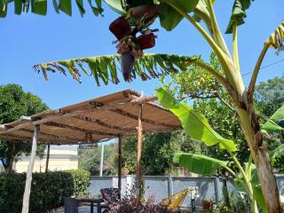 Sonnino B&B - Procida - 6