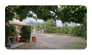Casa Penny - Capannori - 5
