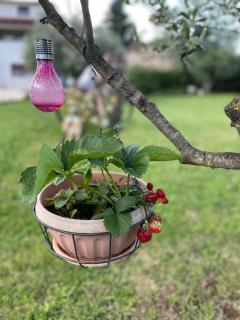 Villa Kimberlly - 1