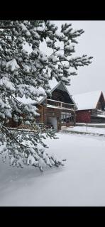 Vila Vasilije - Žabljak - 7