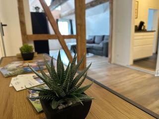 Wohnung direkt in Altstadtlage - Celle - 9