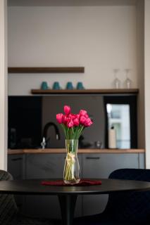 Apartmani Laketić - 2