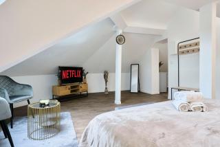 NG Prestige - TV - Netflix - WIFI - Tourcoing - 3