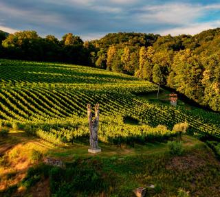 Wine & Art Relais Vallombrosa - Castelrotto - 3