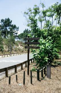 Herdade de Montalvo - Comporta - 1