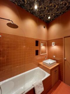 Le Duguesclin, hyper centre de Rennes - 4