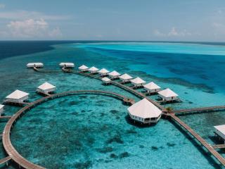 Diamonds Thudufushi Maldives Resort & Spa - Thundufushi - 9