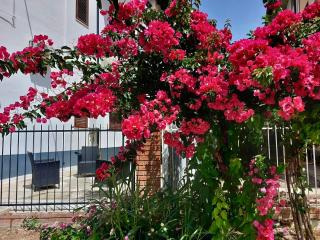 Appartamento in centro by Jennas - Cardedu - 9