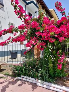 Appartamento in centro by Jennas - Cardedu - 0